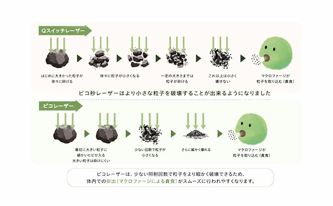 メラニン色素を細かく粉砕し、効率よく排出