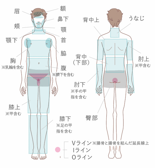 脱毛部位の紹介