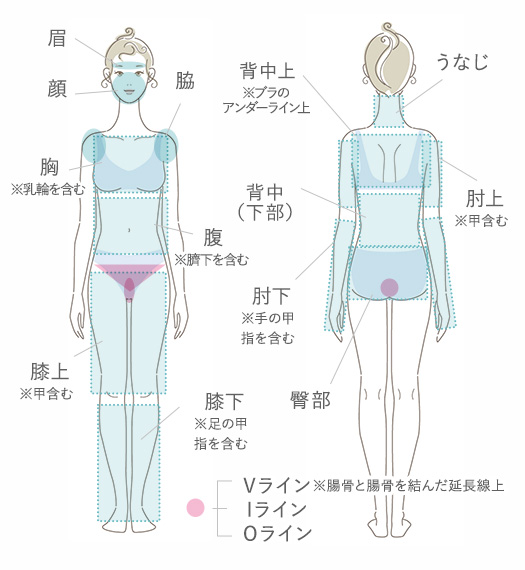 脱毛部位の紹介